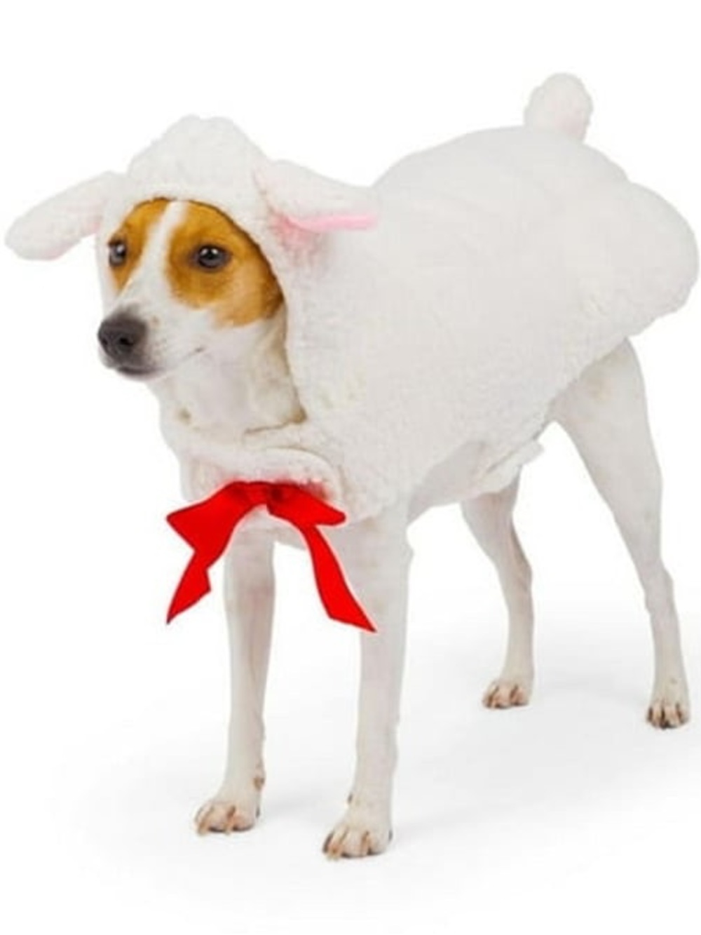 NWT One Paw Dog XL Lamb Halloween Costume